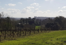 Langlois Château