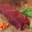 Nature viandes. Rumsteak