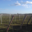 Domaines des Galmoises. Vignoble Pasquier