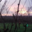 Domaines des Galmoises. Vignoble Pasquier