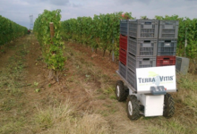 Domaine de Btizé