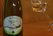 Domaine du Brigneau. Sauvignon blanc sec