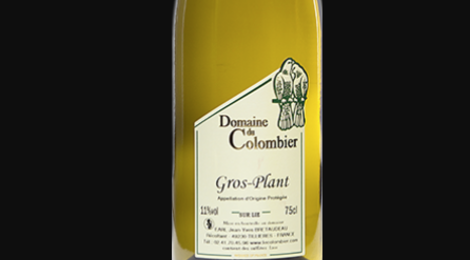 Domaine Du Colombier. Gros plant sur lie