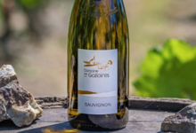 Domaine des Galloires. IGP "SAUVIGNON"