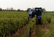 Domaine De La Guilloterie
