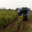 Domaine De La Guilloterie