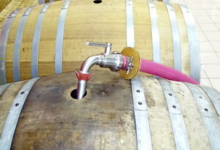 Domaine De La Guilloterie