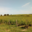 Domaine Fouet