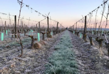 Domaine de Nerleux