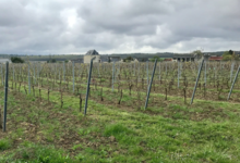 Domaine de Nerleux