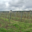 Domaine de Nerleux