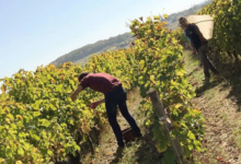 Domaine de Nerleux