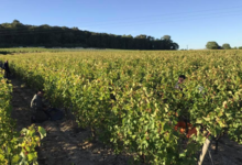 Domaine de Nerleux