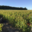 Domaine de Nerleux