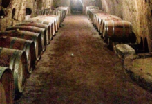 Domaine de Nerleux
