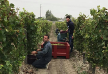 Domaine de Nerleux