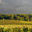 Domaine des Guyons