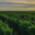 Domaine des Guyons