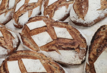 La Doréenne. Tourte du Doré