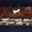 Maison Travers. Le mille-feuille nature