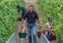 Domaine Sauveroy