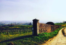 Domaine Sauveroy
