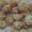 Boulangerie Perreau. Chouquettes