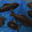 Patisserie chocolaterie TB. Poisson d'avril