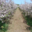 Les Jardins De Pimba