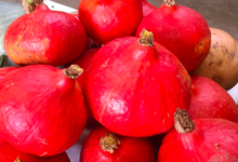 Les Jardins De Pimba