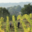 Domaine De La Barbiniere