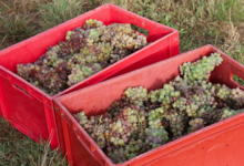 Domaine De La Barbiniere
