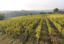 Domaine De La Barbiniere