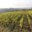 Domaine De La Barbiniere