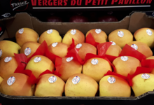 Vergers du petit pavillon. Pommes