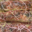 MeatCouture. Rôti à la diable