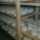 Bergerie fromagerie Les deux Eves. tomme de brebis