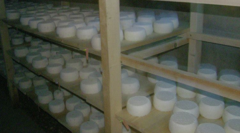 Bergerie fromagerie Les deux Eves. tomme de brebis