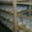 Bergerie fromagerie Les deux Eves. tomme de brebis