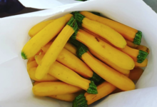 Le Cayre de Valjancelle. Mini courgette jaune