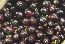 Le Cayre de Valjancelle. Mini aubergine