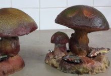 Confiserie du vieux moulin. Champignon