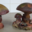 Confiserie du vieux moulin. Champignon