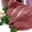Triperie Française. Coeur de veau
