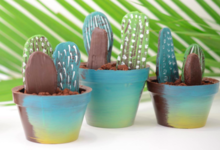 Chocolats Colas. Cactus