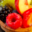 Le Mont Olympe. Tartelette aux fruits