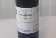 Plantbiorel. Sirop de fruit de sureau