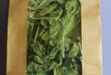 Plantbiorel. Guimauves feuilles