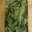 Plantbiorel. Guimauves feuilles