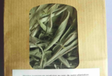 Plantbiorel. Sauge feuilles